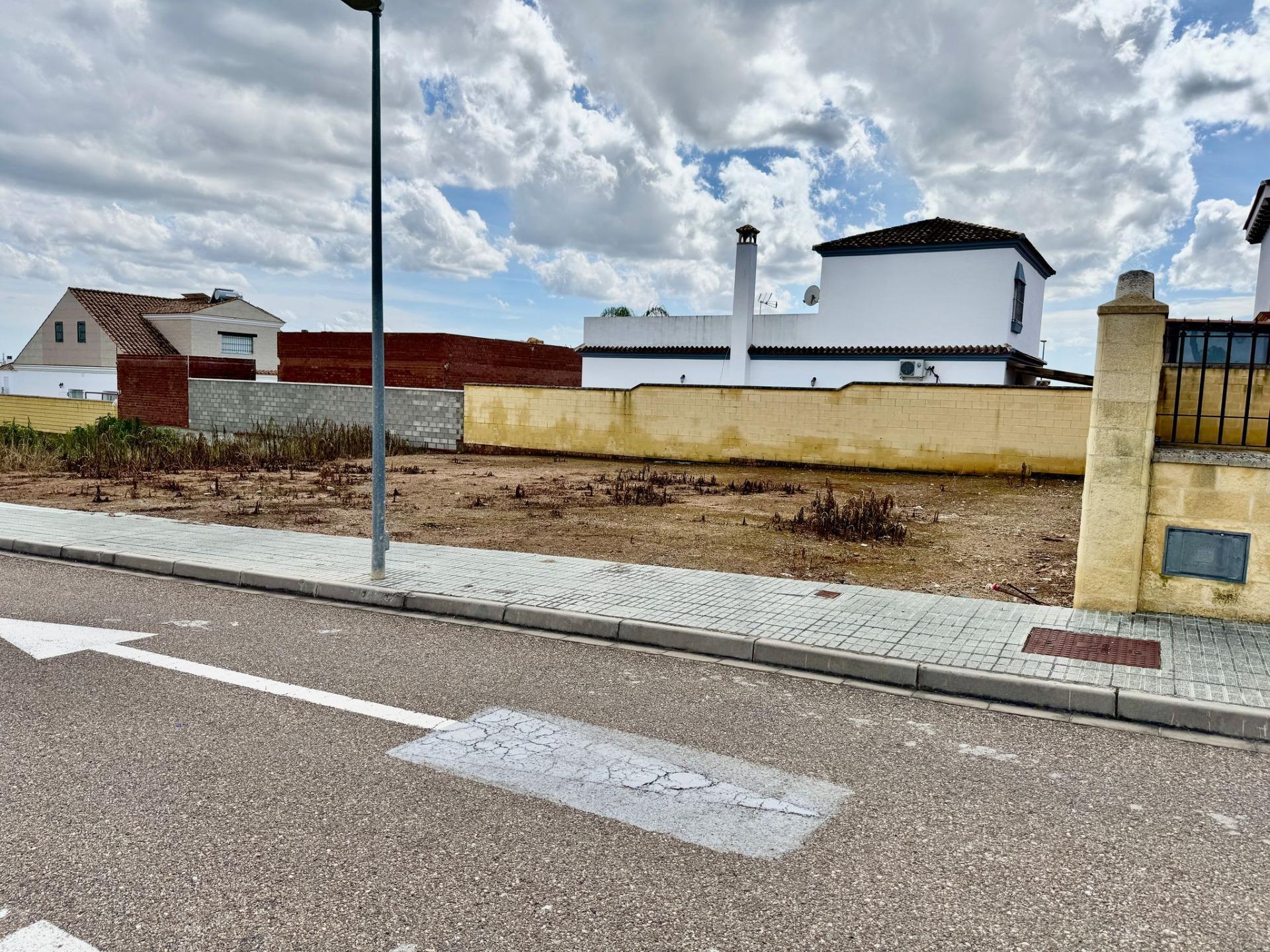 Fincas y solares-Venta-Cantillana-1681104-Foto-5