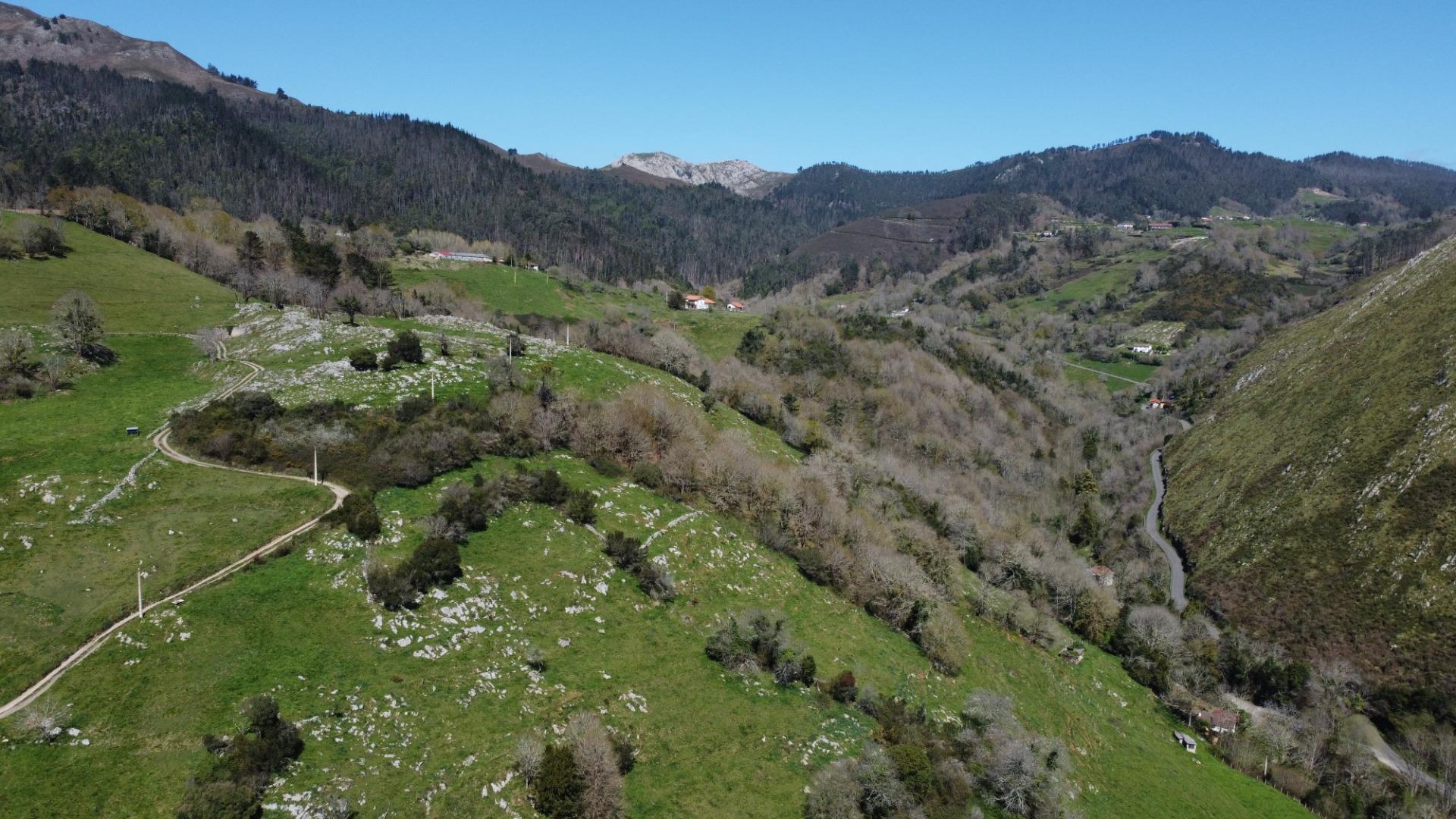 Casas o chalets-Venta-Parres-1709974-Foto-49
