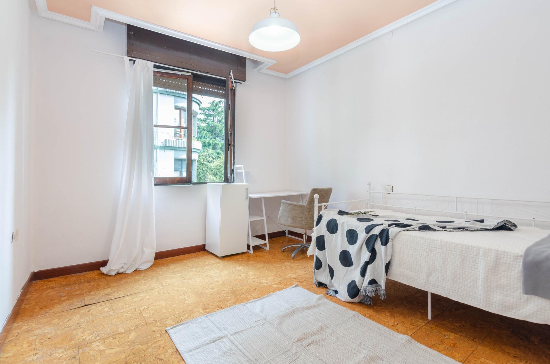 Pisos-Venta-Mieres-1743717-Foto-21