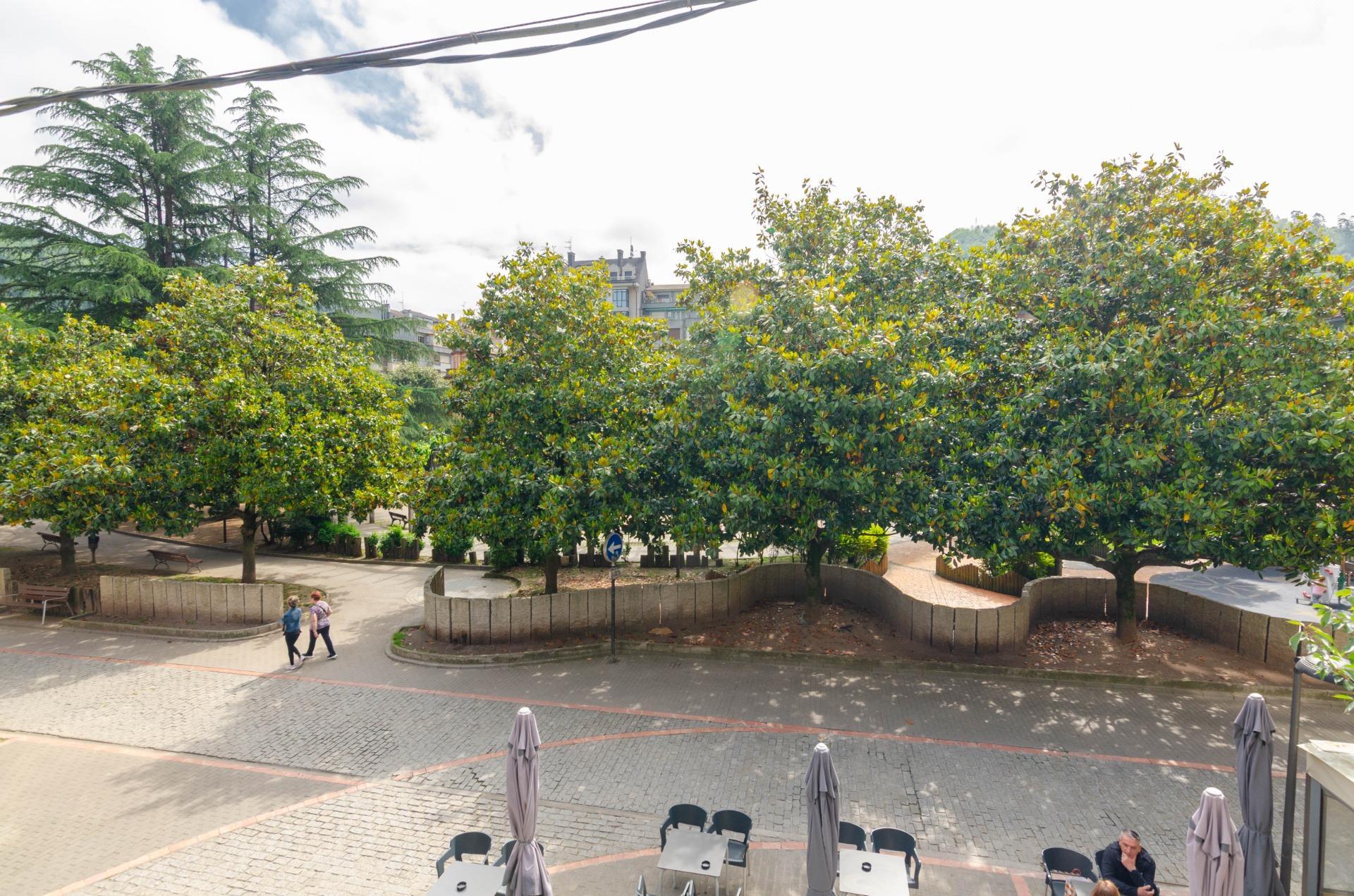 Pisos-Venta-Mieres-1743717-Foto-31