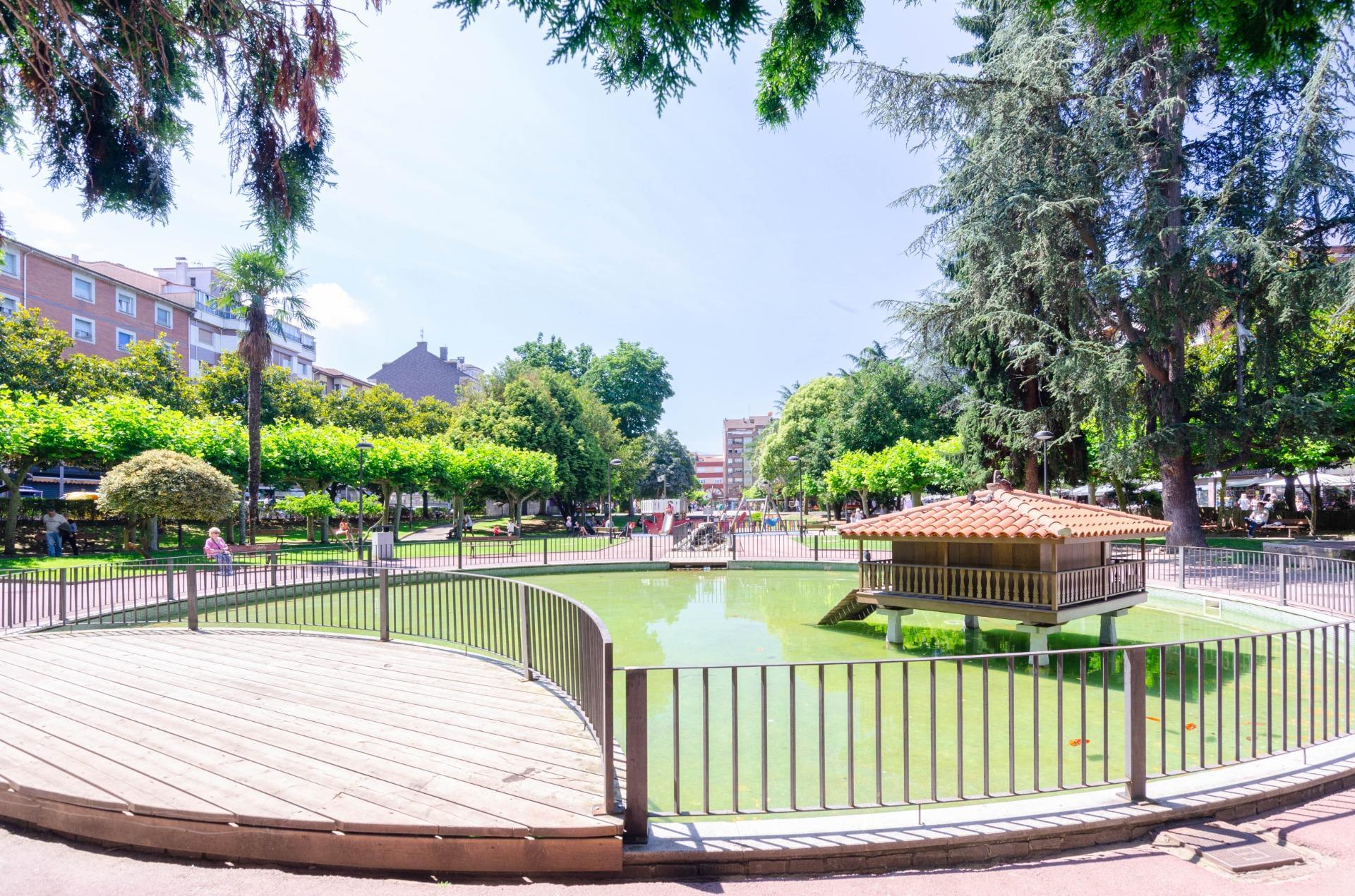 Pisos-Venta-Mieres-1743717-Foto-37
