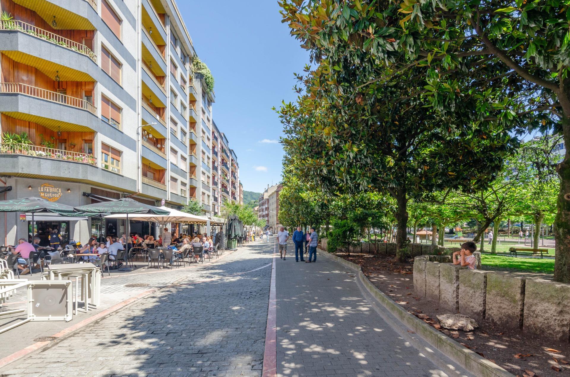 Pisos-Venta-Mieres-1743717-Foto-36