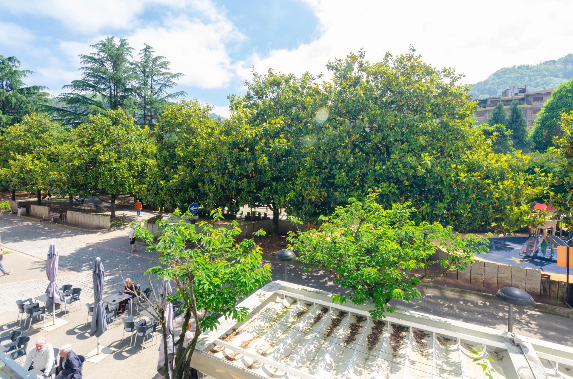 Pisos-Venta-Mieres-1743717-Foto-41