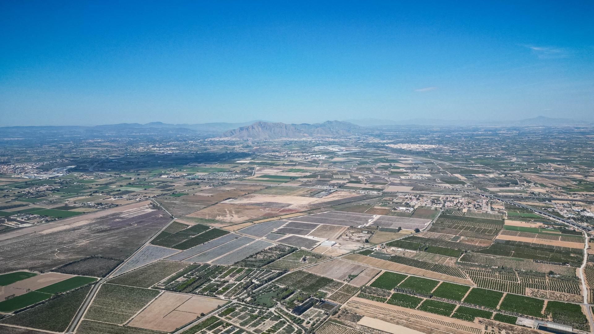 Fincas y solares-Venta-Crevillent-1734199-Foto-5