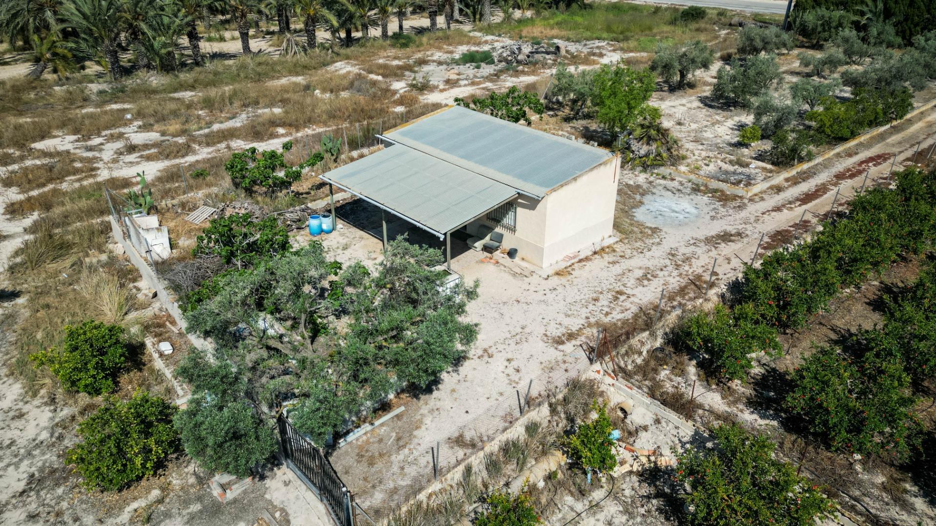 Fincas y solares-Venta-Crevillent-1734199-Foto-9
