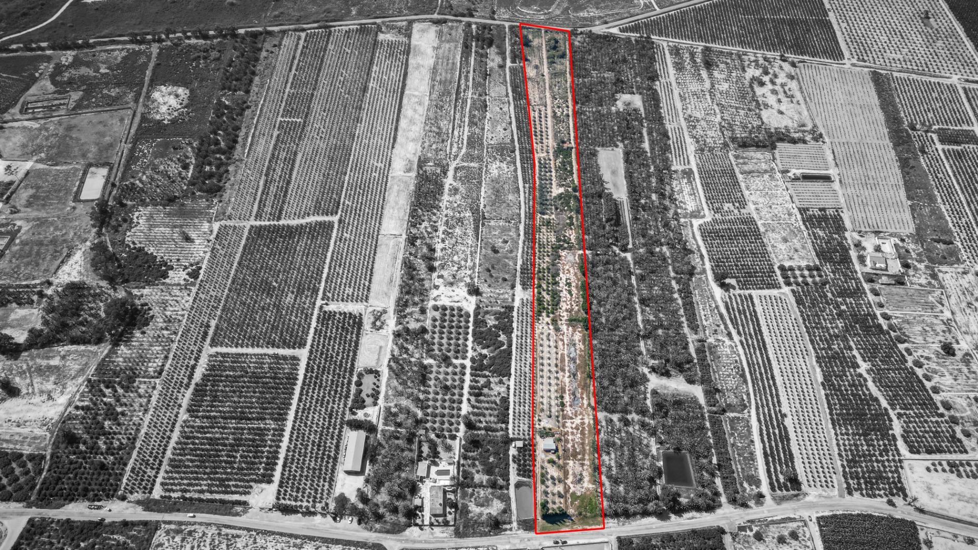 Fincas y solares-Venta-Crevillent-1734199-Foto-7