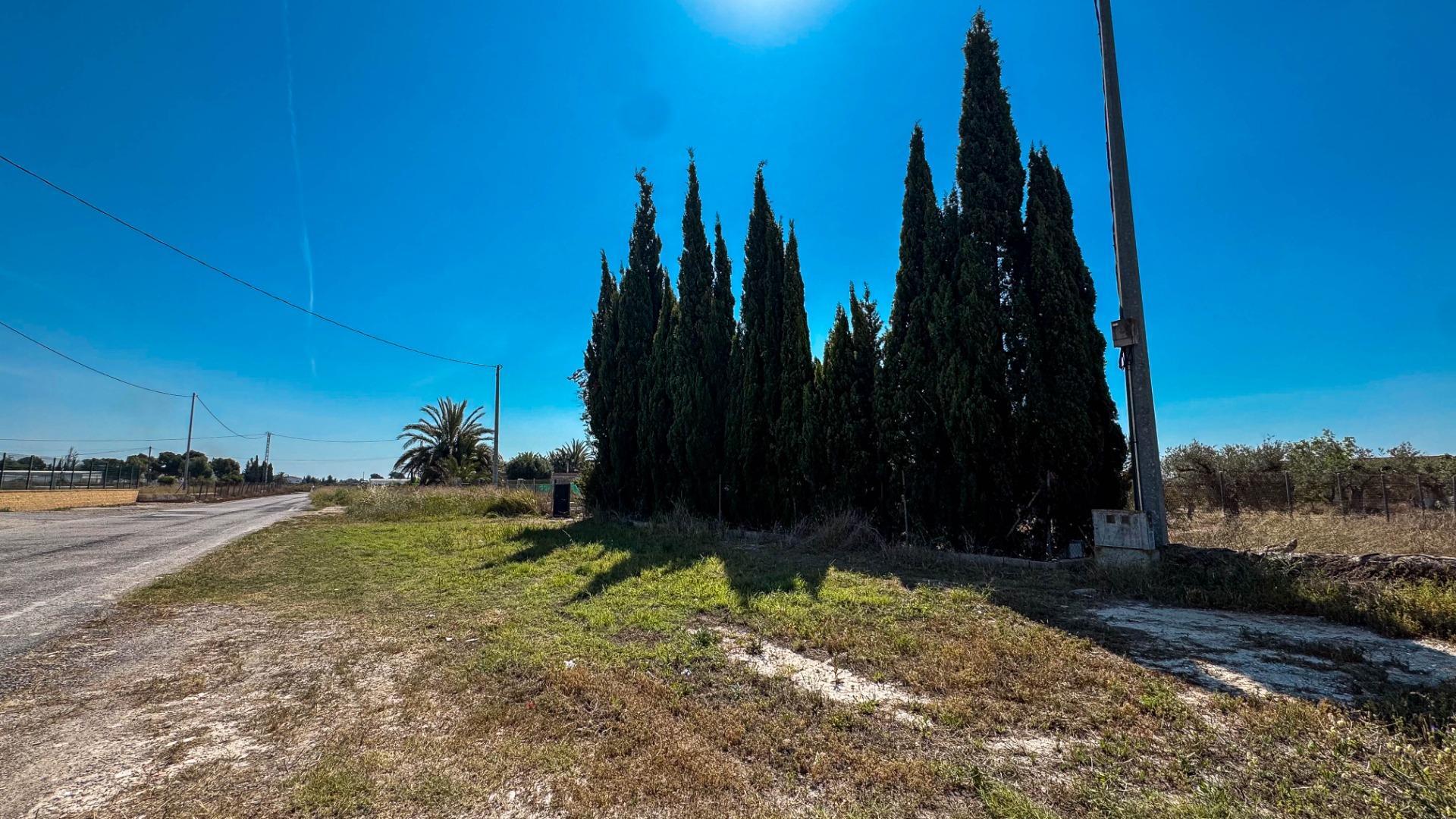 Fincas y solares-Venta-Crevillent-1734199-Foto-12