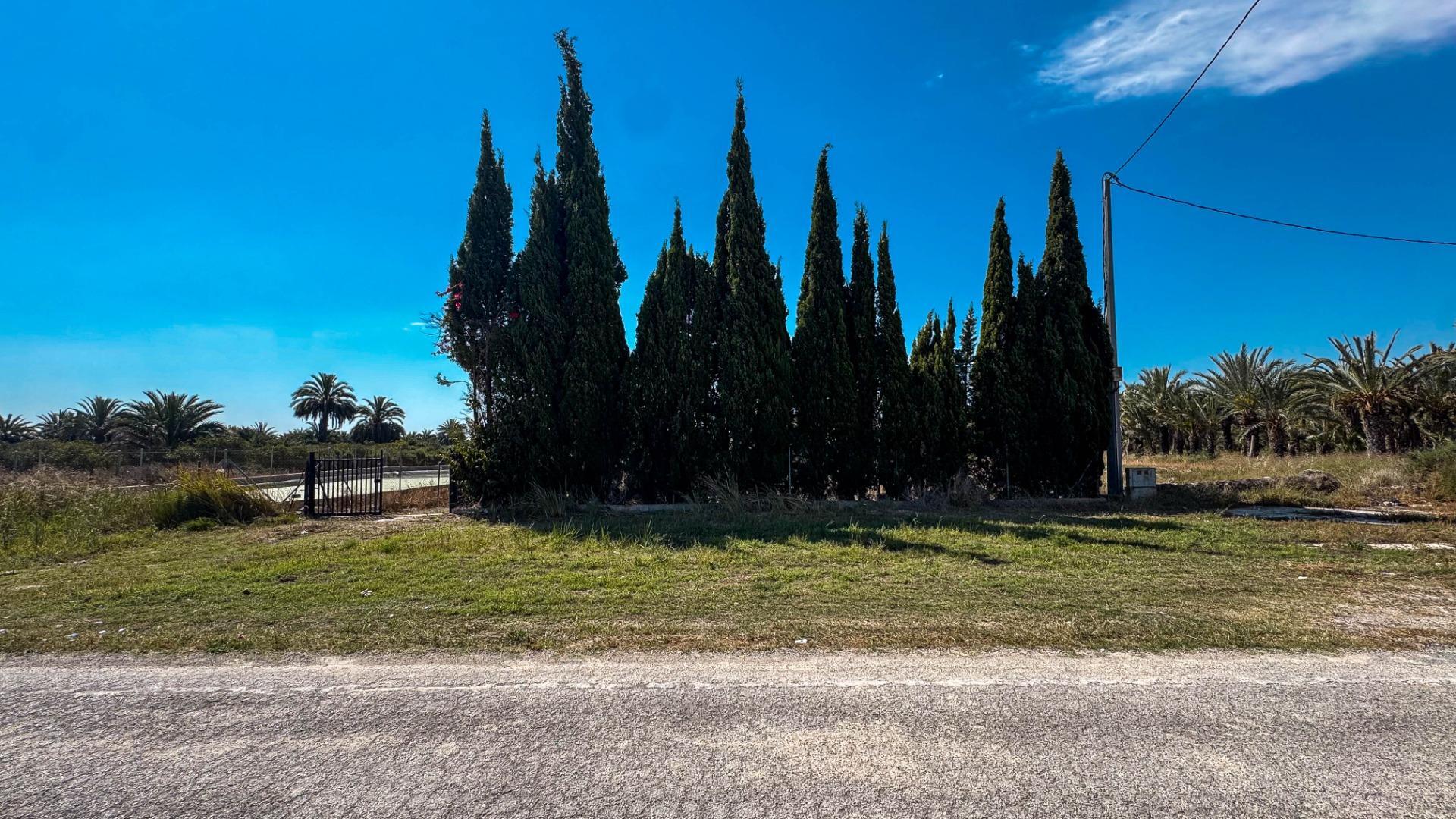 Fincas y solares-Venta-Crevillent-1734199-Foto-13