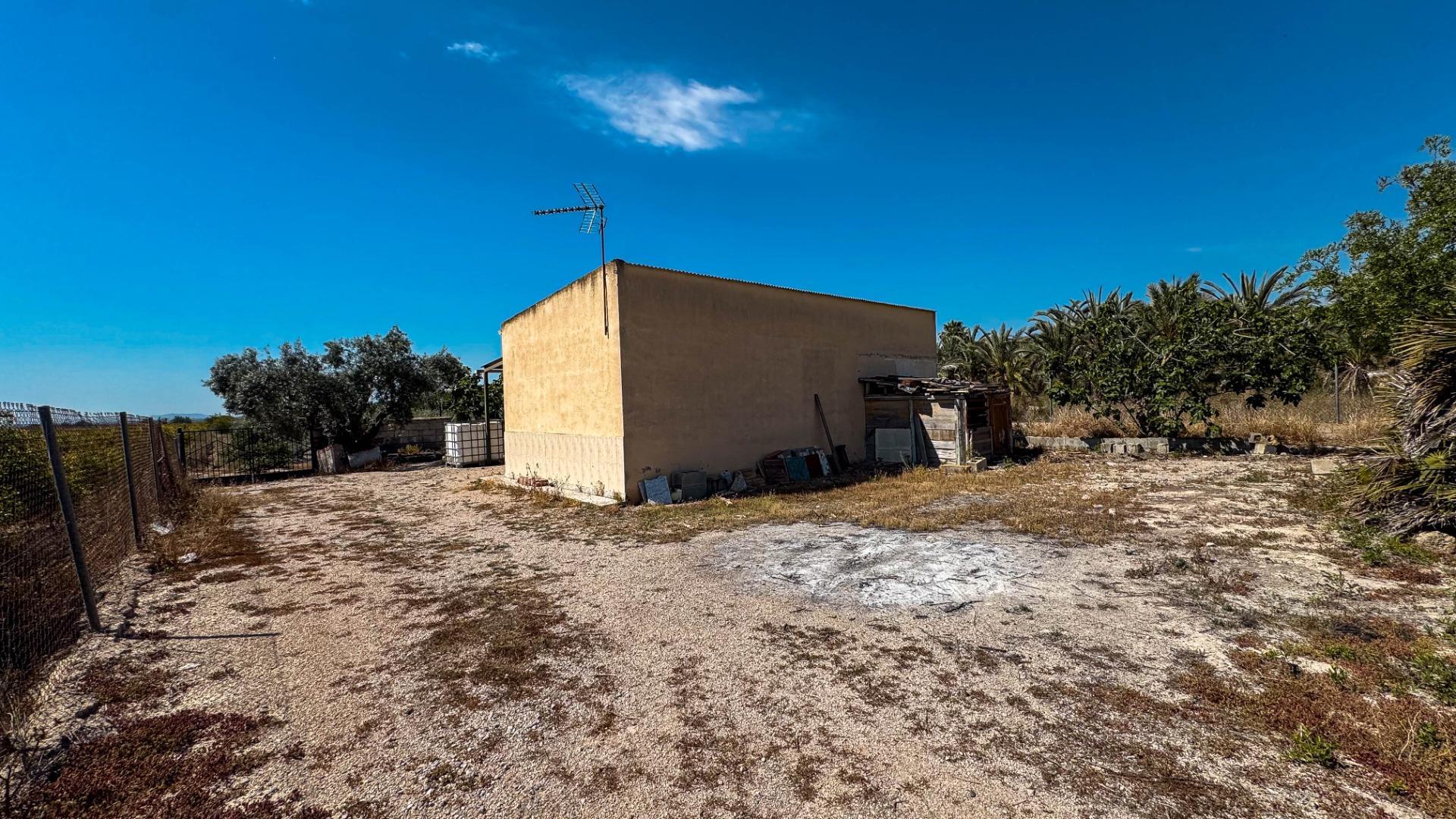 Fincas y solares-Venta-Crevillent-1734199-Foto-17