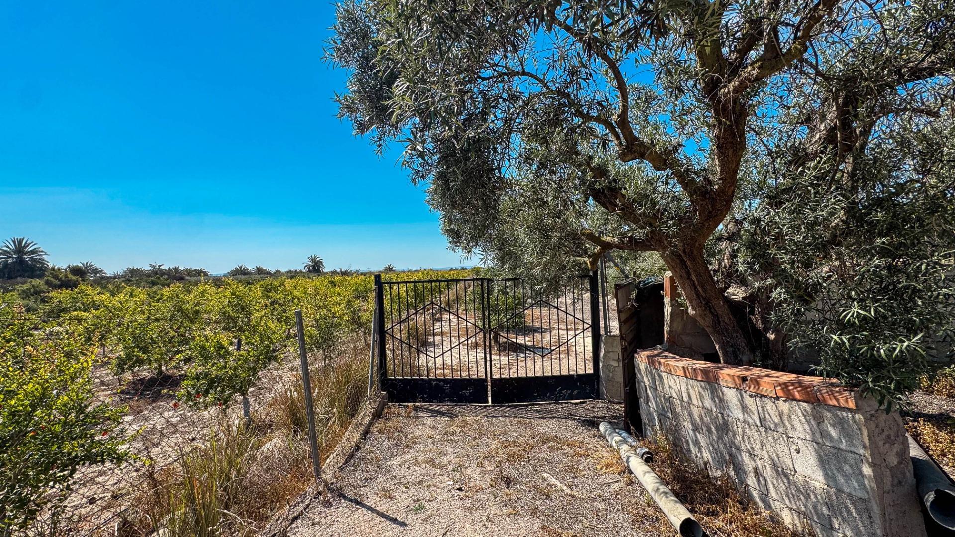 Fincas y solares-Venta-Crevillent-1734199-Foto-18