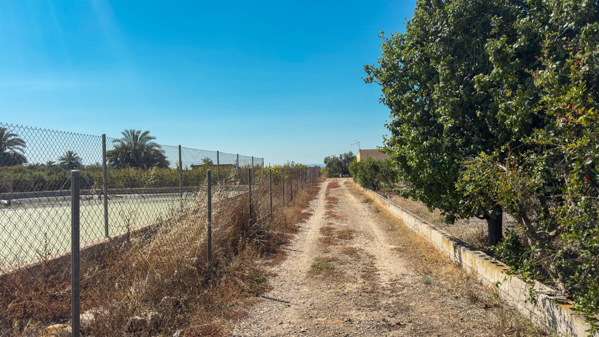 Fincas y solares-Venta-Crevillent-1734199-Foto-16
