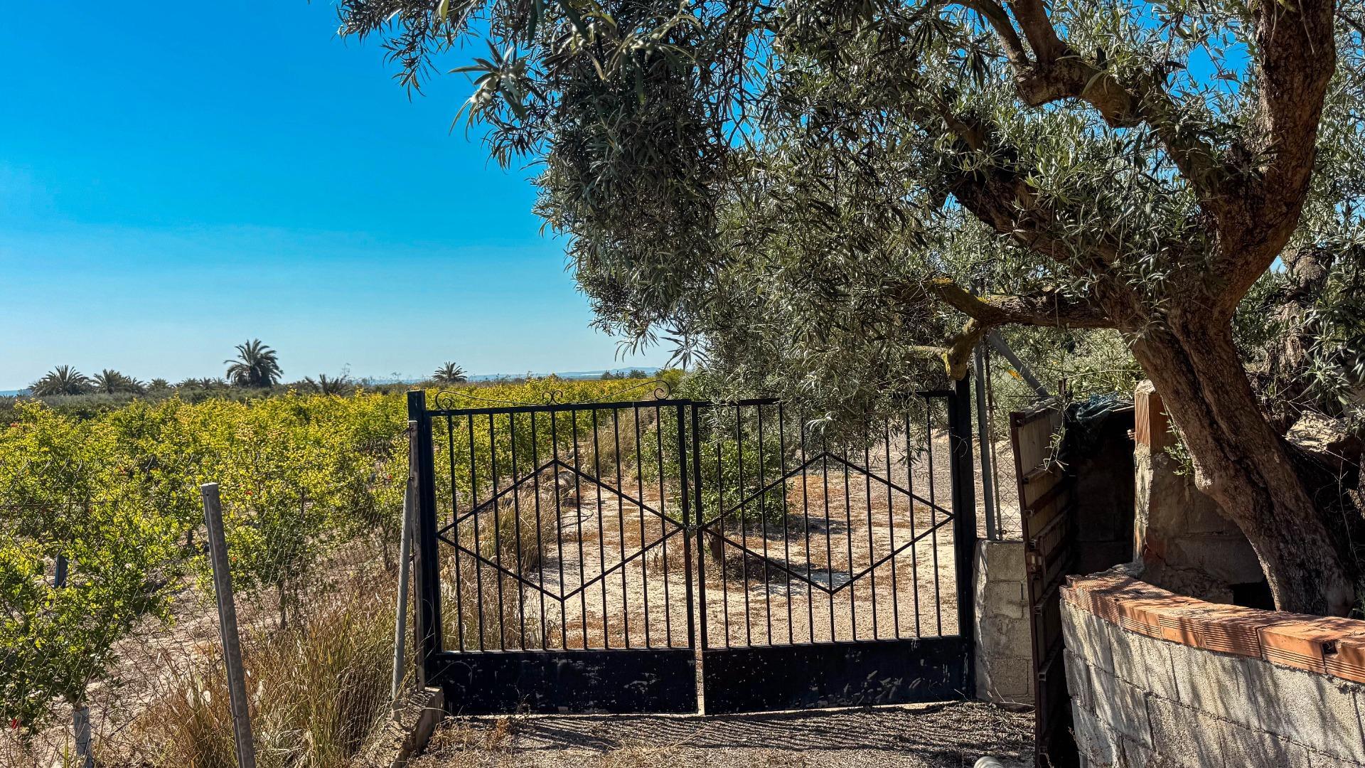 Fincas y solares-Venta-Crevillent-1734199-Foto-19
