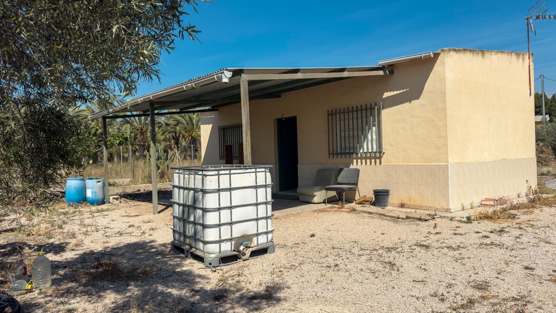 Fincas y solares-Venta-Crevillent-1734199-Foto-21