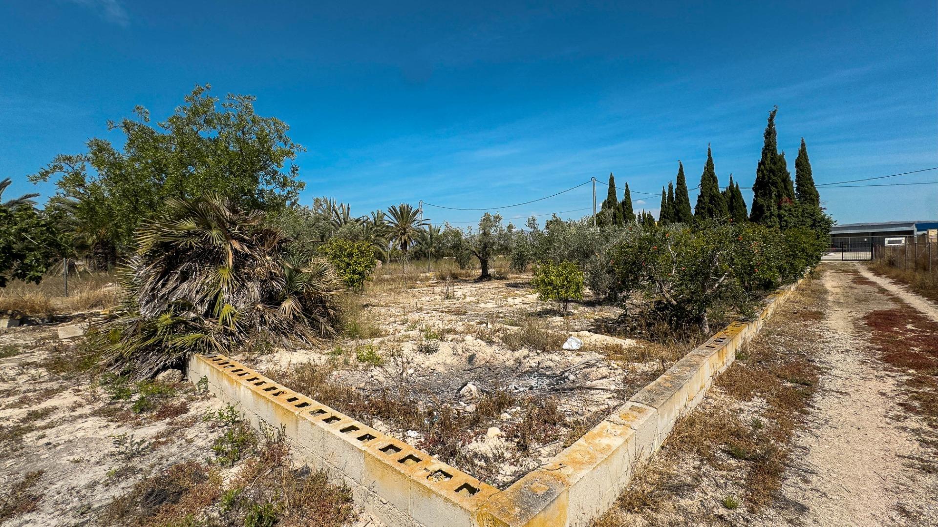 Fincas y solares-Venta-Crevillent-1734199-Foto-39