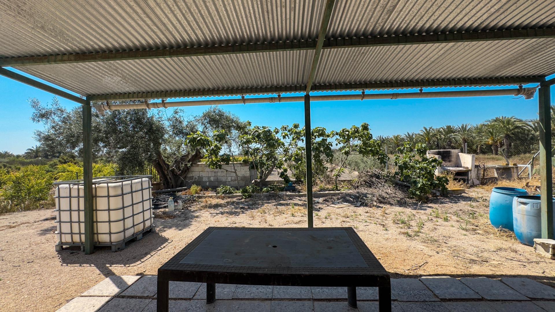 Fincas y solares-Venta-Crevillent-1734199-Foto-38