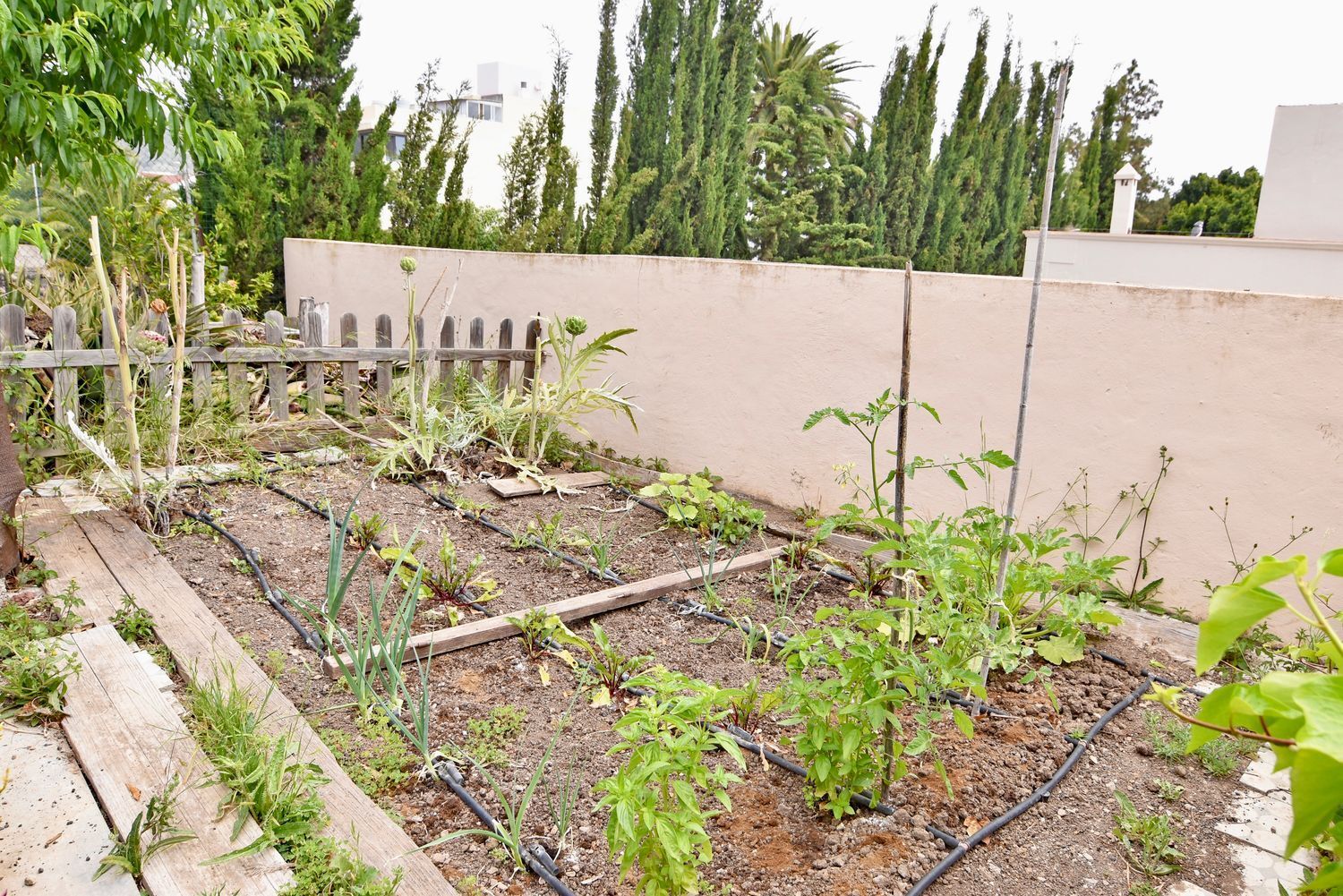 Casas o chalets-Venta-Santa BrÃ­gida-1763456-Foto-41