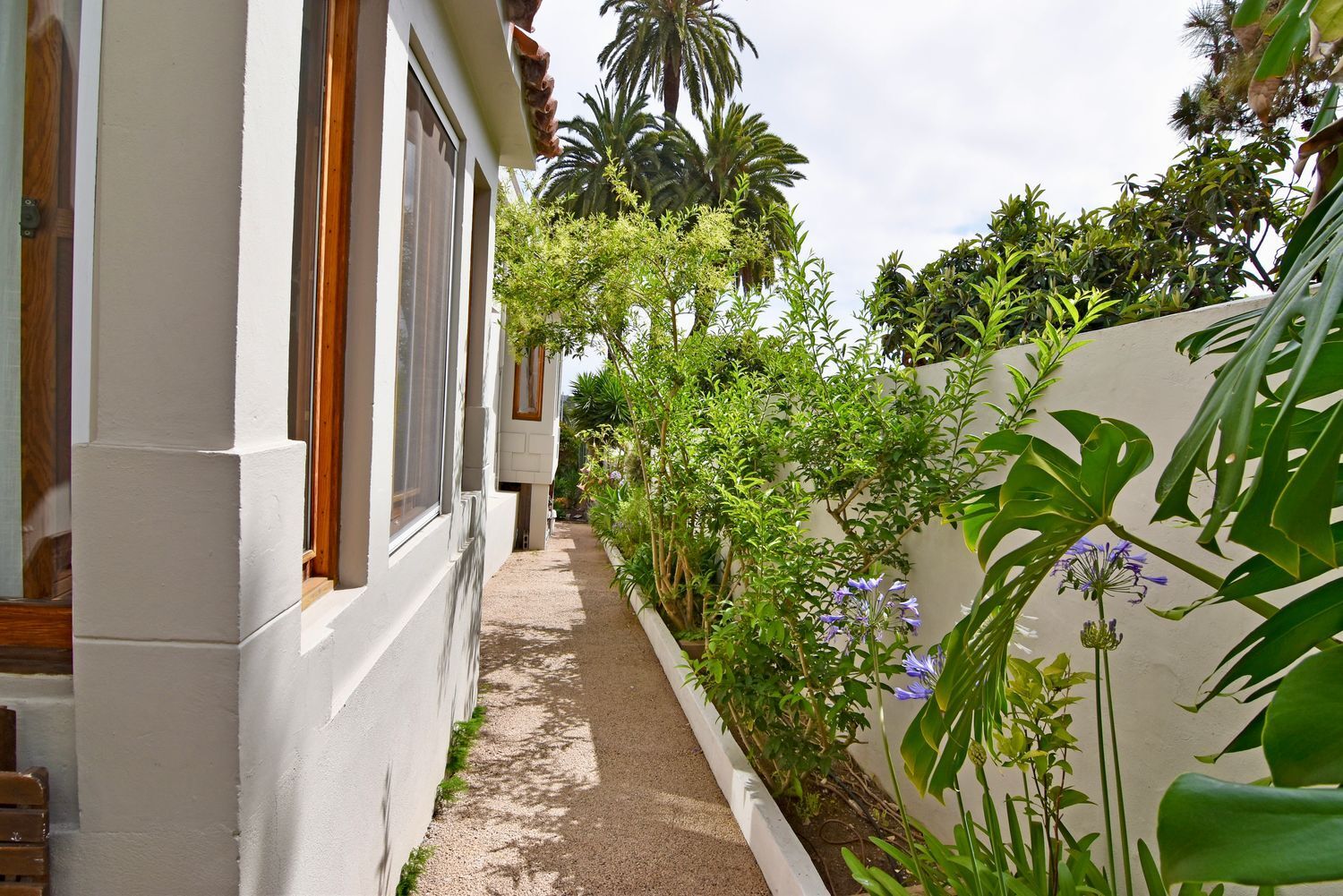 Casas o chalets-Venta-Santa BrÃ­gida-1763456-Foto-47