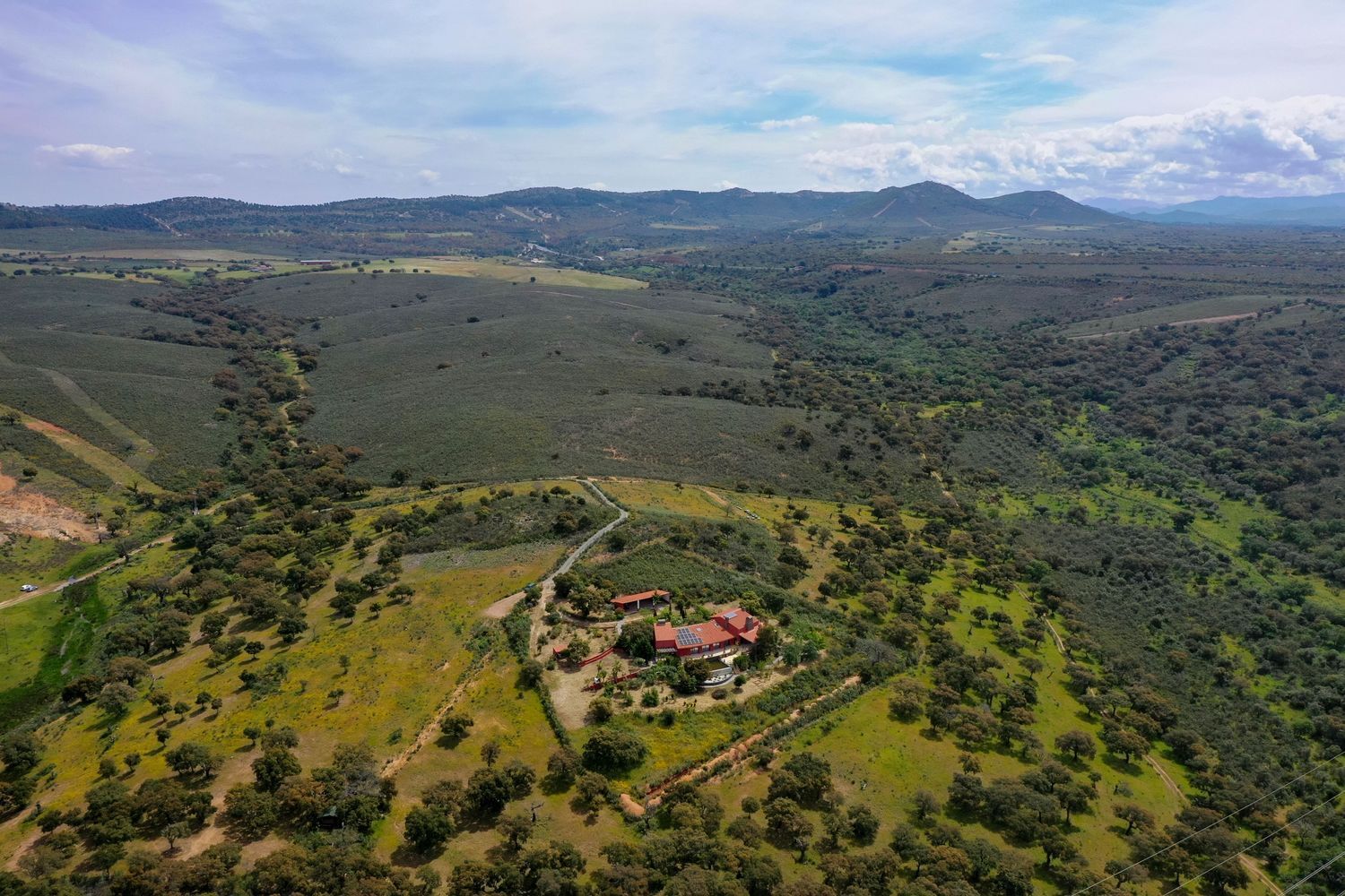 Casas o chalets-Venta-Jaraicejo-1723777-Foto-37