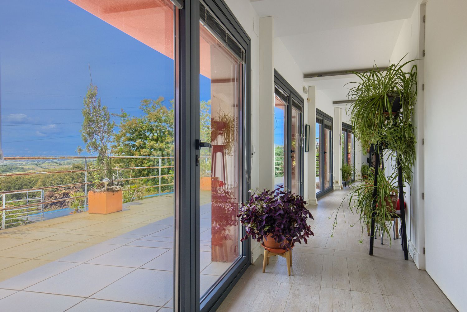 Casas o chalets-Venta-Jaraicejo-1723777-Foto-57