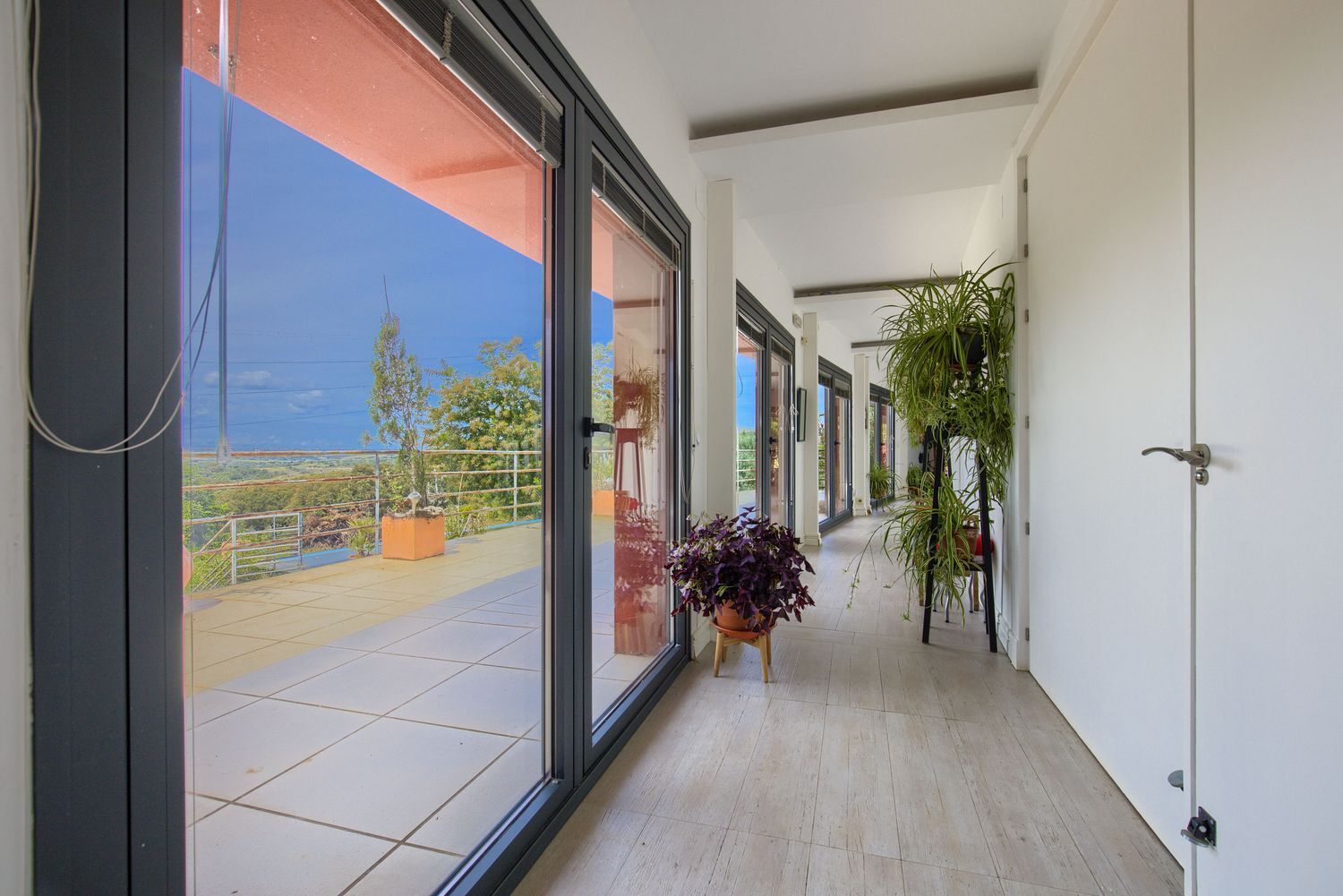 Casas o chalets-Venta-Jaraicejo-1723777-Foto-56