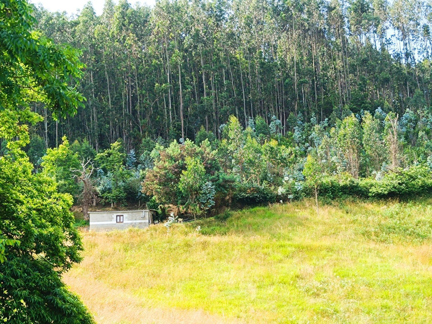 Fincas y solares-Venta-Llanera-1763509-Foto-2