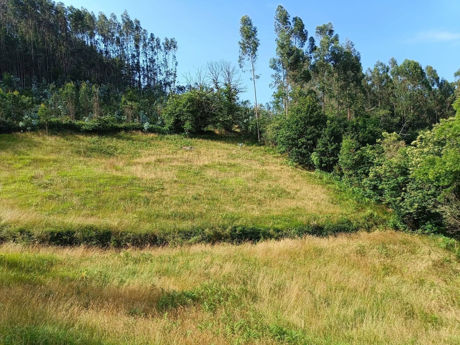 Fincas y solares-Venta-Llanera-1763509-Foto-4