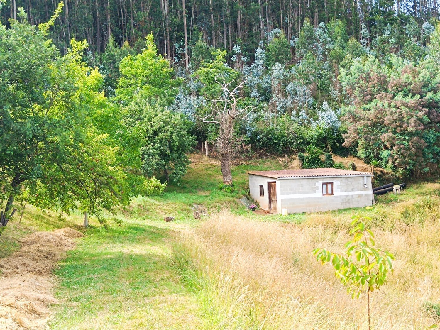 Fincas y solares-Venta-Llanera-1763509-Foto-9