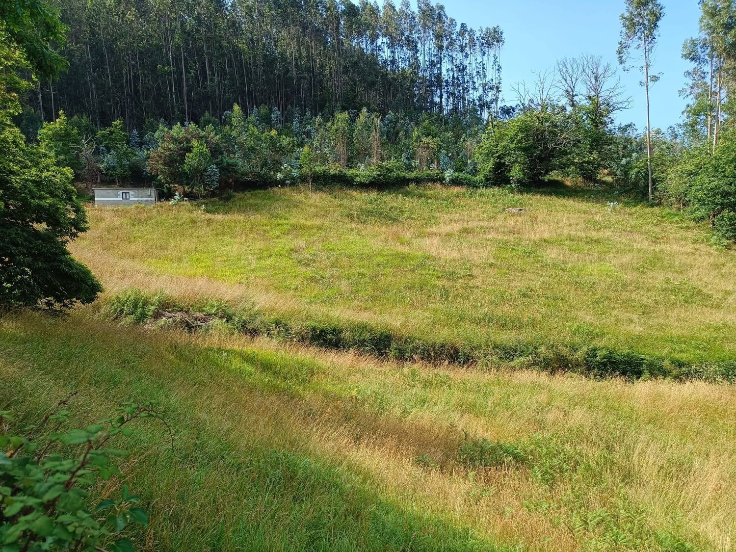 Fincas y solares-Venta-Llanera-1763509-Foto-7