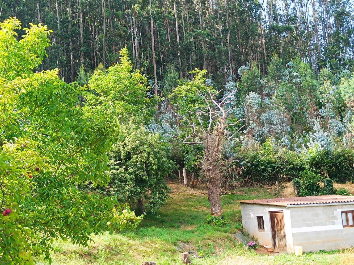 Fincas y solares-Venta-Llanera-1763509-Foto-14