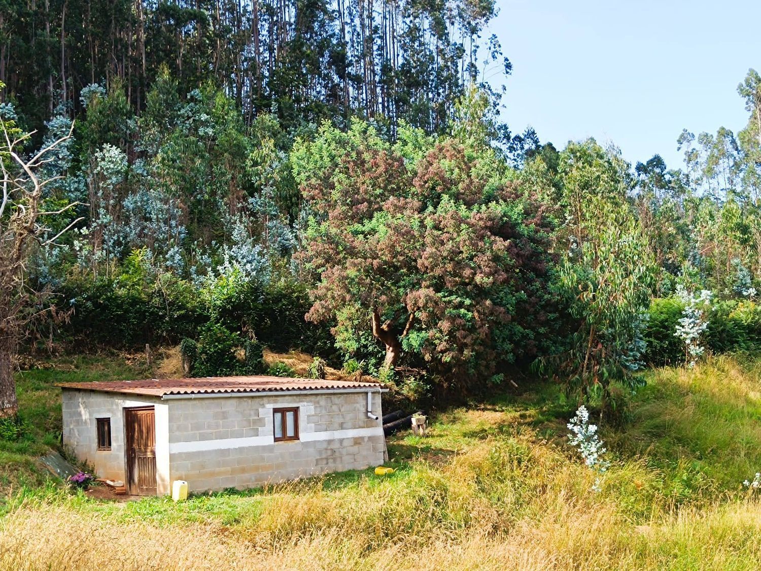 Fincas y solares-Venta-Llanera-1763509-Foto-15