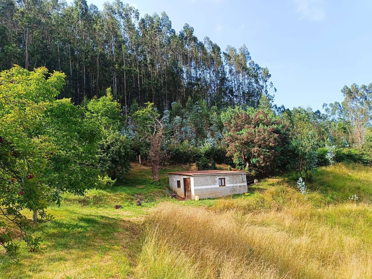 Fincas y solares-Venta-Llanera-1763509-Foto-12
