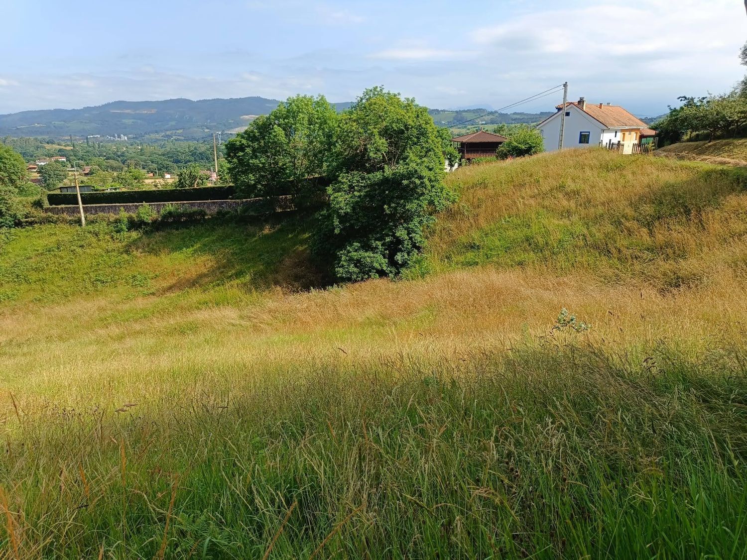 Fincas y solares-Venta-Llanera-1763509-Foto-20