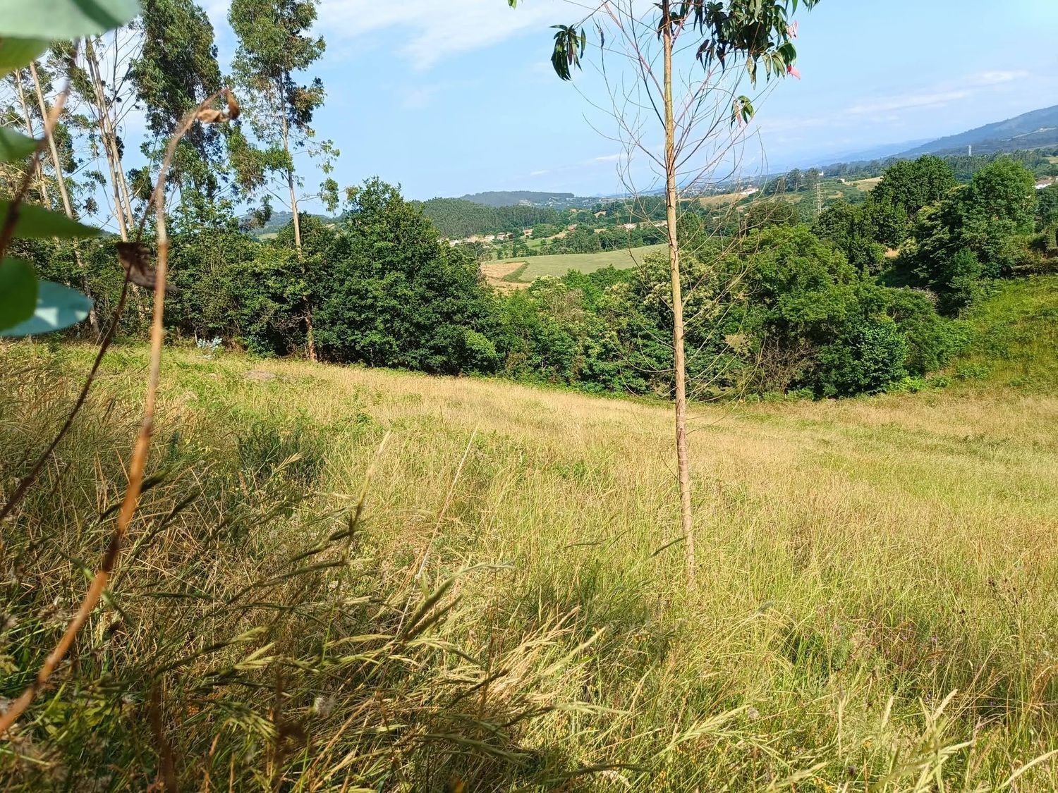 Fincas y solares-Venta-Llanera-1763509-Foto-22
