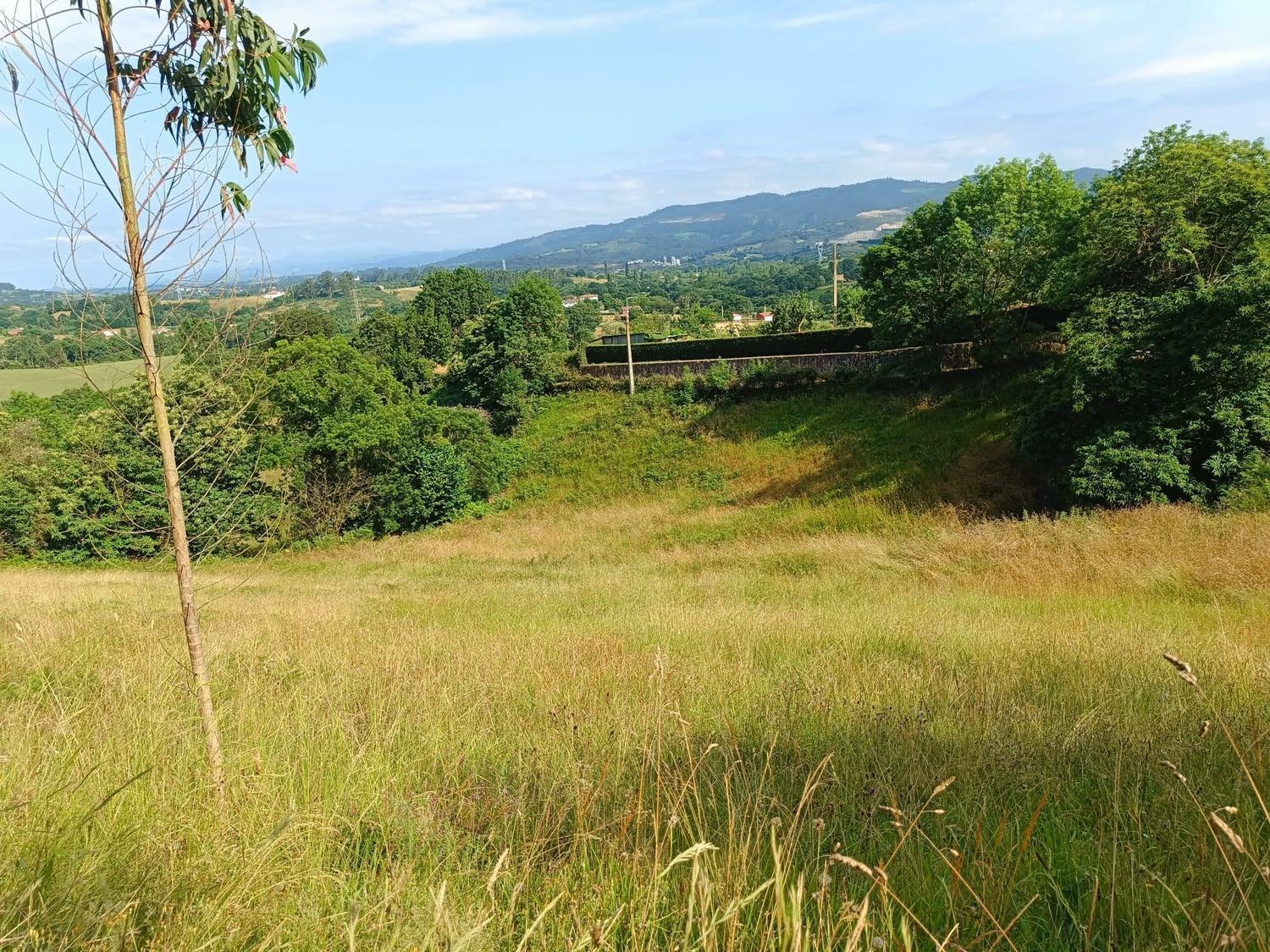 Fincas y solares-Venta-Llanera-1763509-Foto-21