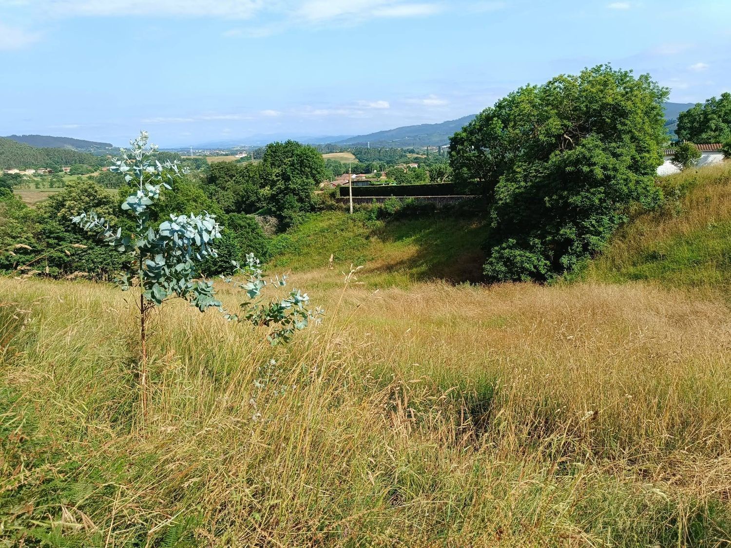 Fincas y solares-Venta-Llanera-1763509-Foto-29