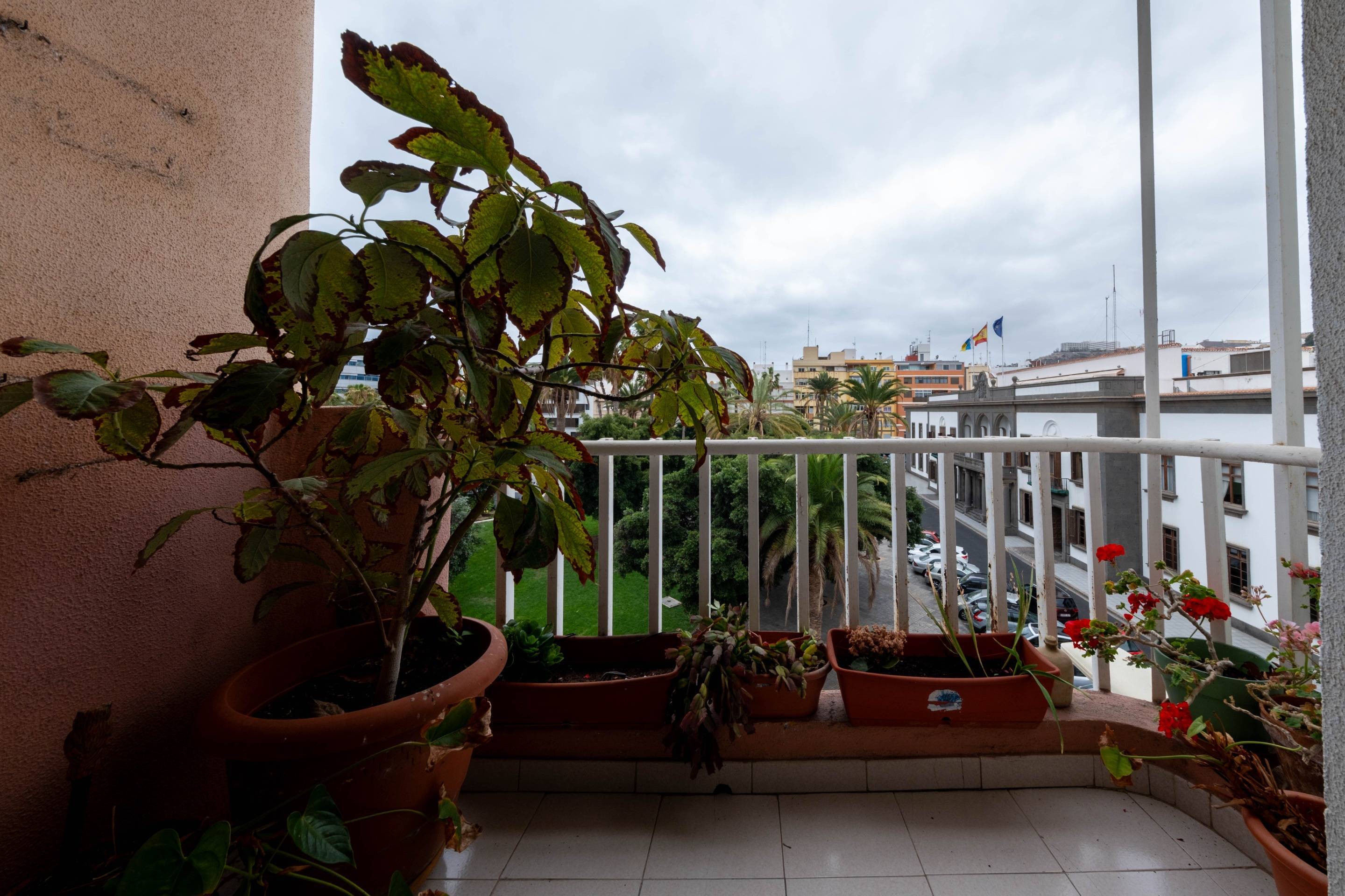 Pisos-Venta-Las Palmas de Gran Canaria-1764333-Foto-18
