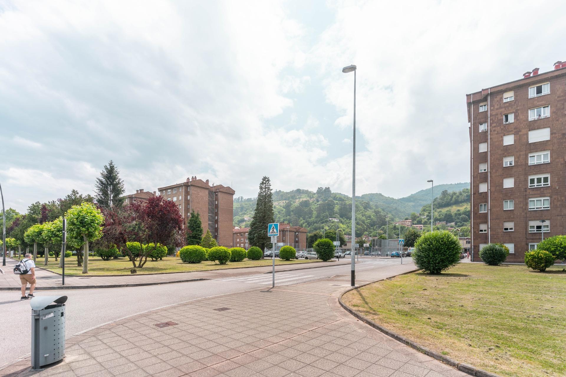 Pisos-Venta-Mieres-1764357-Foto-33