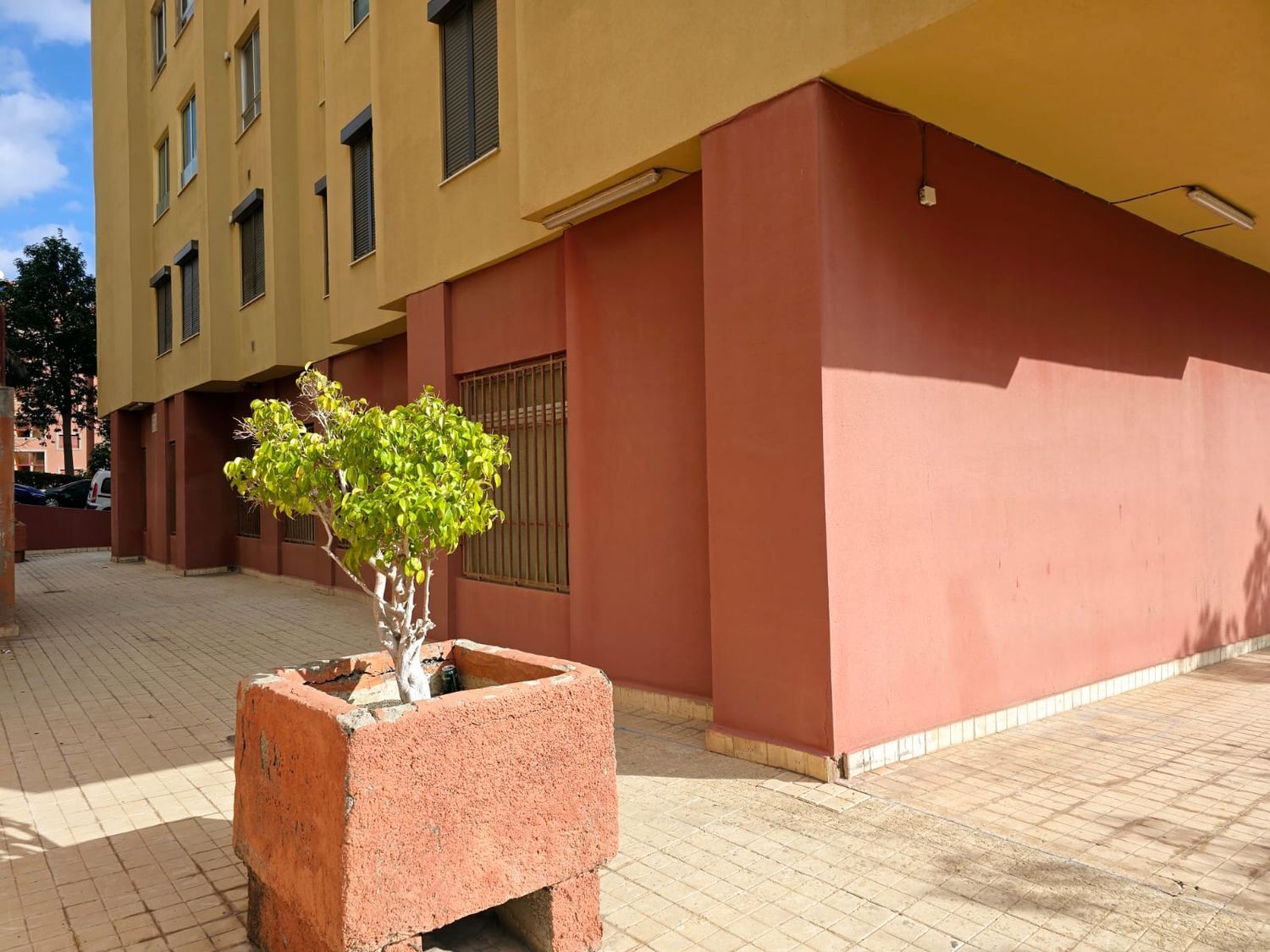 Negocios-Venta-Las Palmas de Gran Canaria-1724663-Foto-14