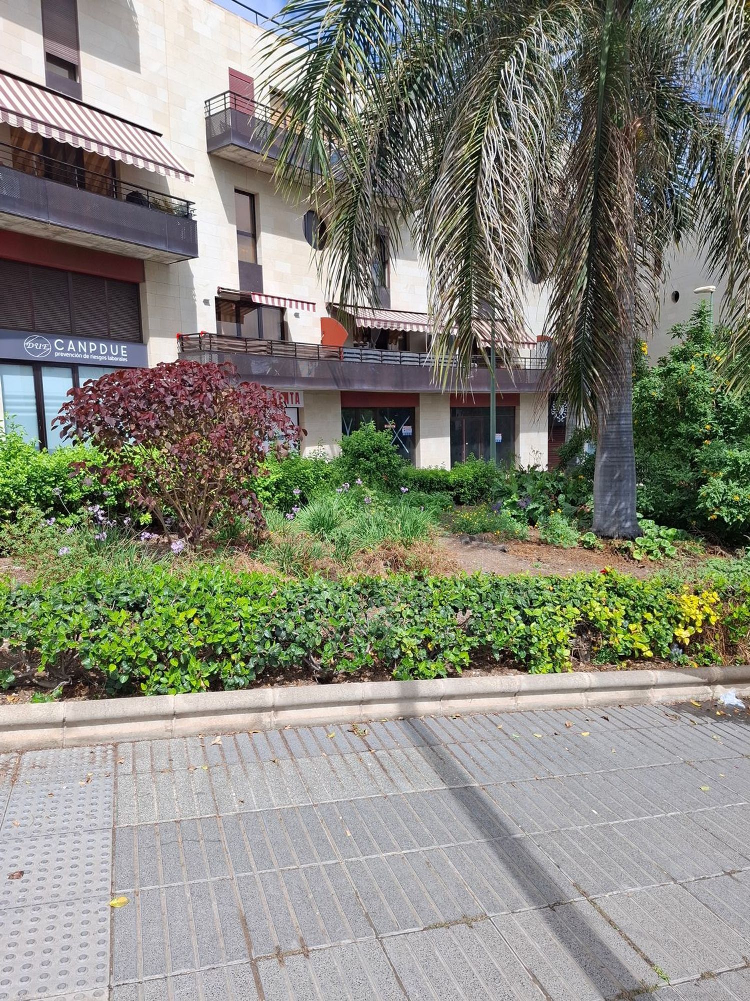 Negocios-Venta-Las Palmas de Gran Canaria-1683552-Foto-12