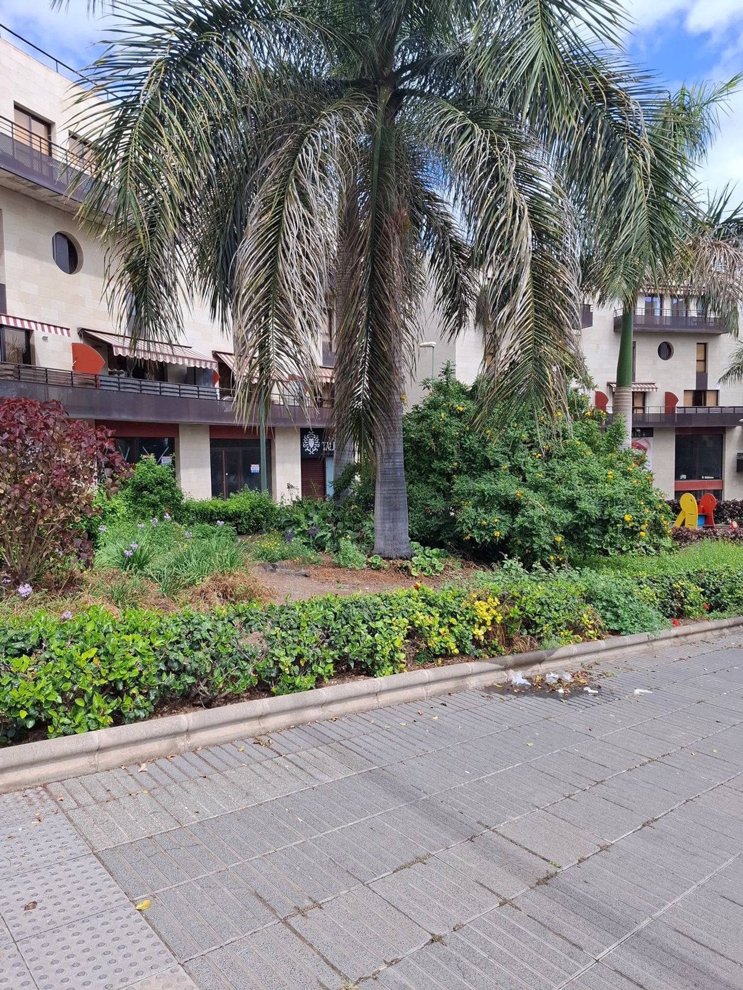 Negocios-Venta-Las Palmas de Gran Canaria-1683552-Foto-11