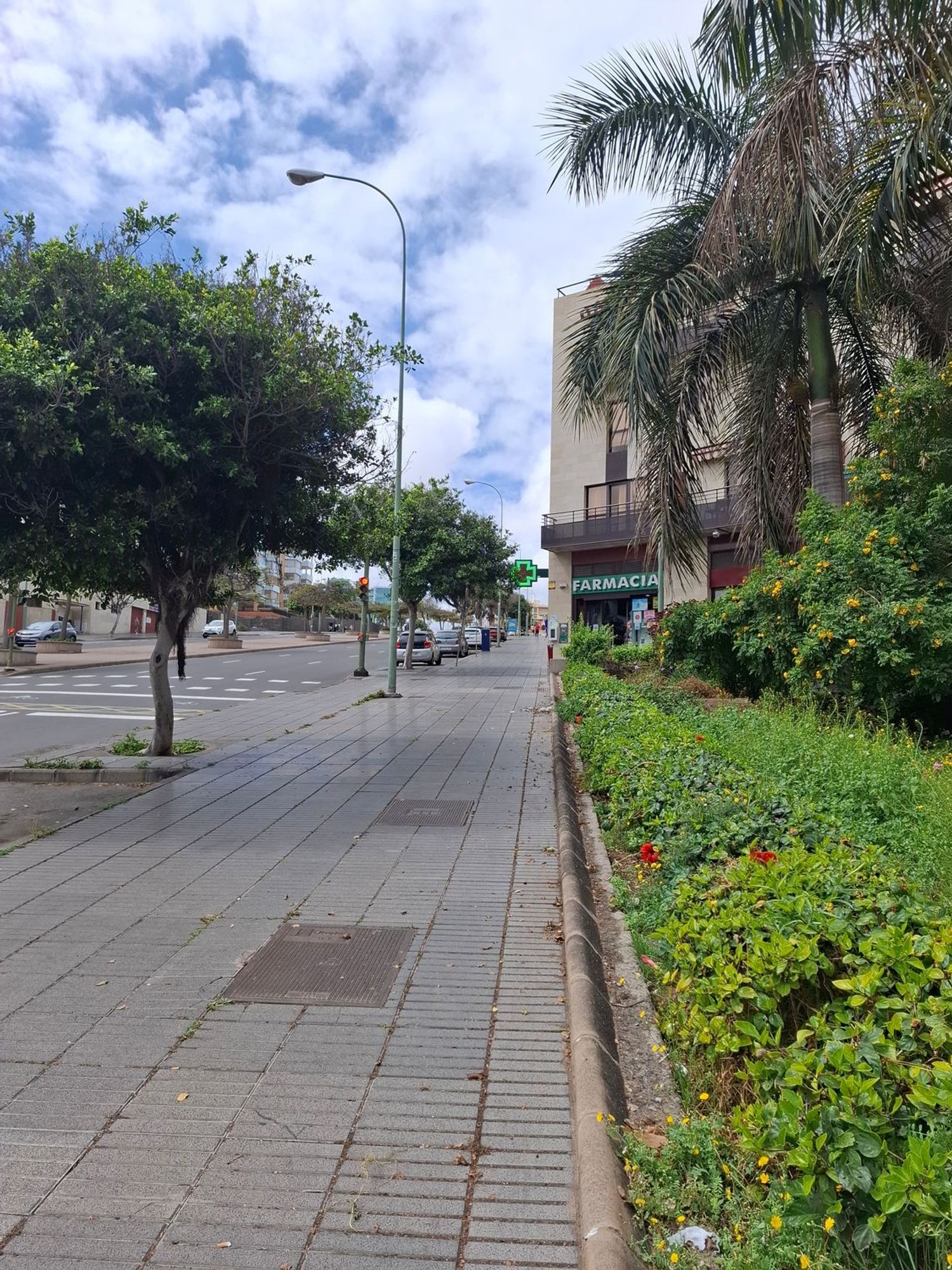 Negocios-Venta-Las Palmas de Gran Canaria-1683552-Foto-14