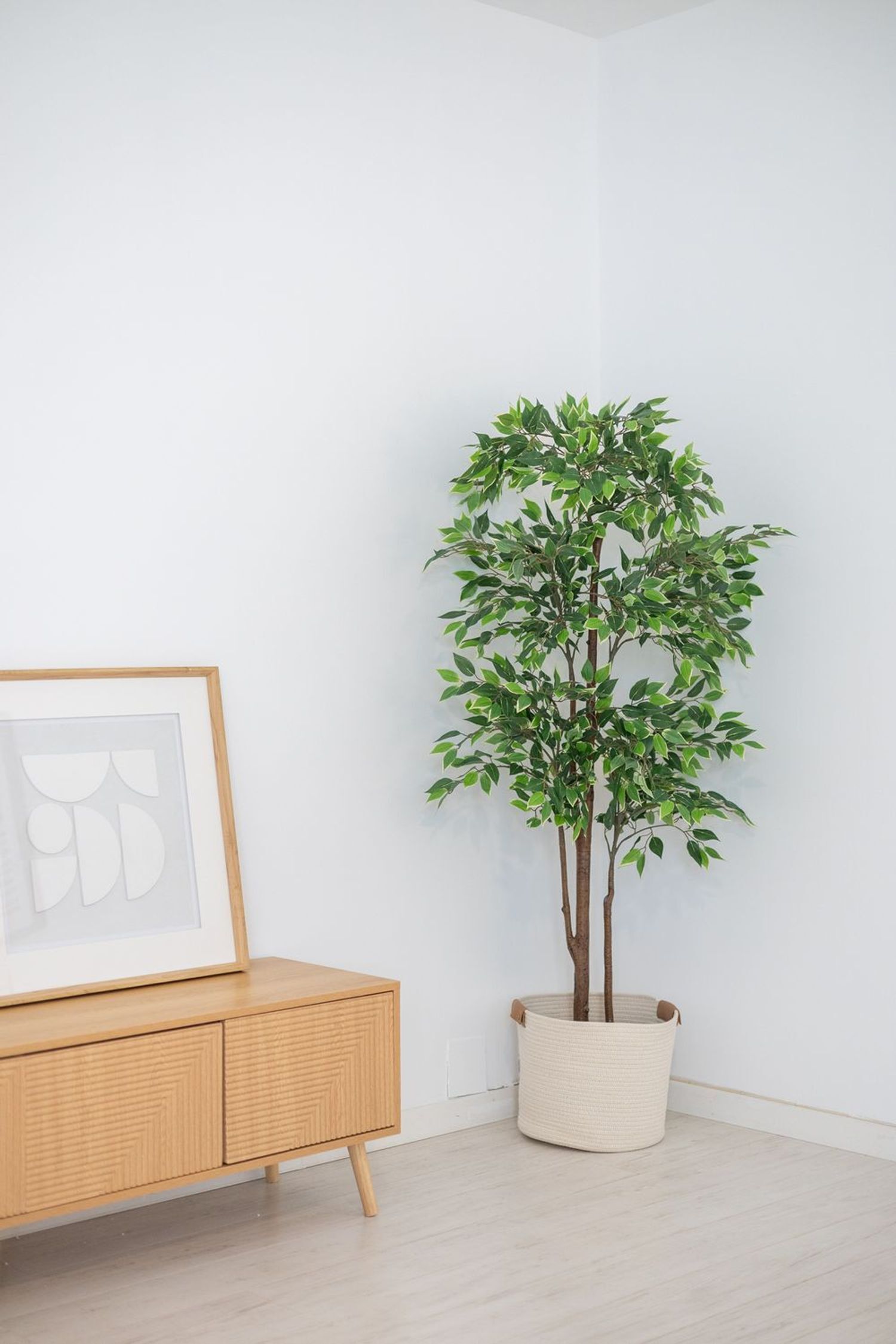 Pisos-Venta-Madrid-1764791-Foto-44
