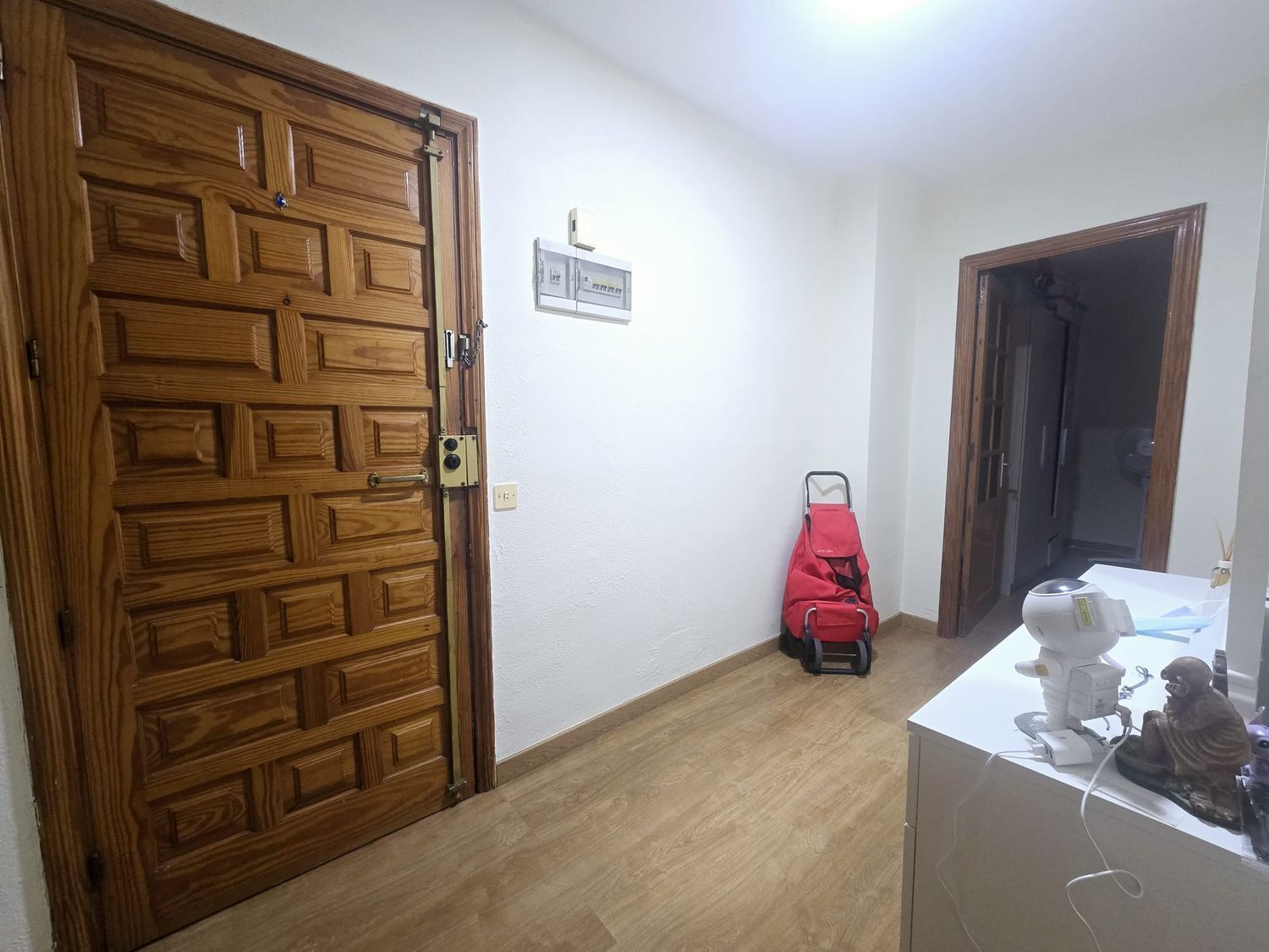 Pisos-Venta-Las Palmas de Gran Canaria-1751825-Foto-10