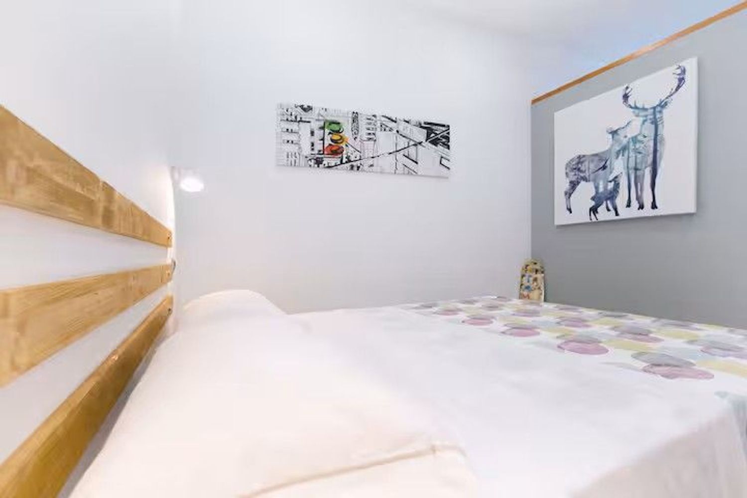 Pisos-Alquiler-Las Palmas de Gran Canaria-1764848-Foto-14