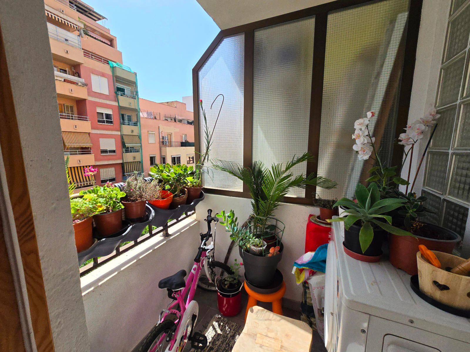 Pisos-Venta-Palma de Mallorca-1765218-Foto-5