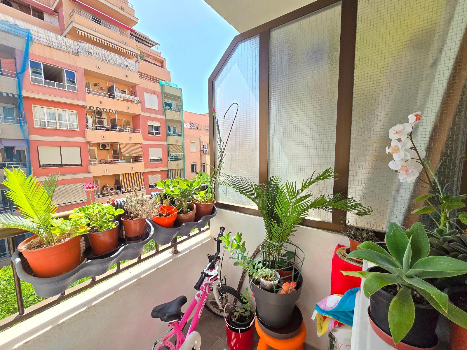 Pisos-Venta-Palma de Mallorca-1765218-Foto-6
