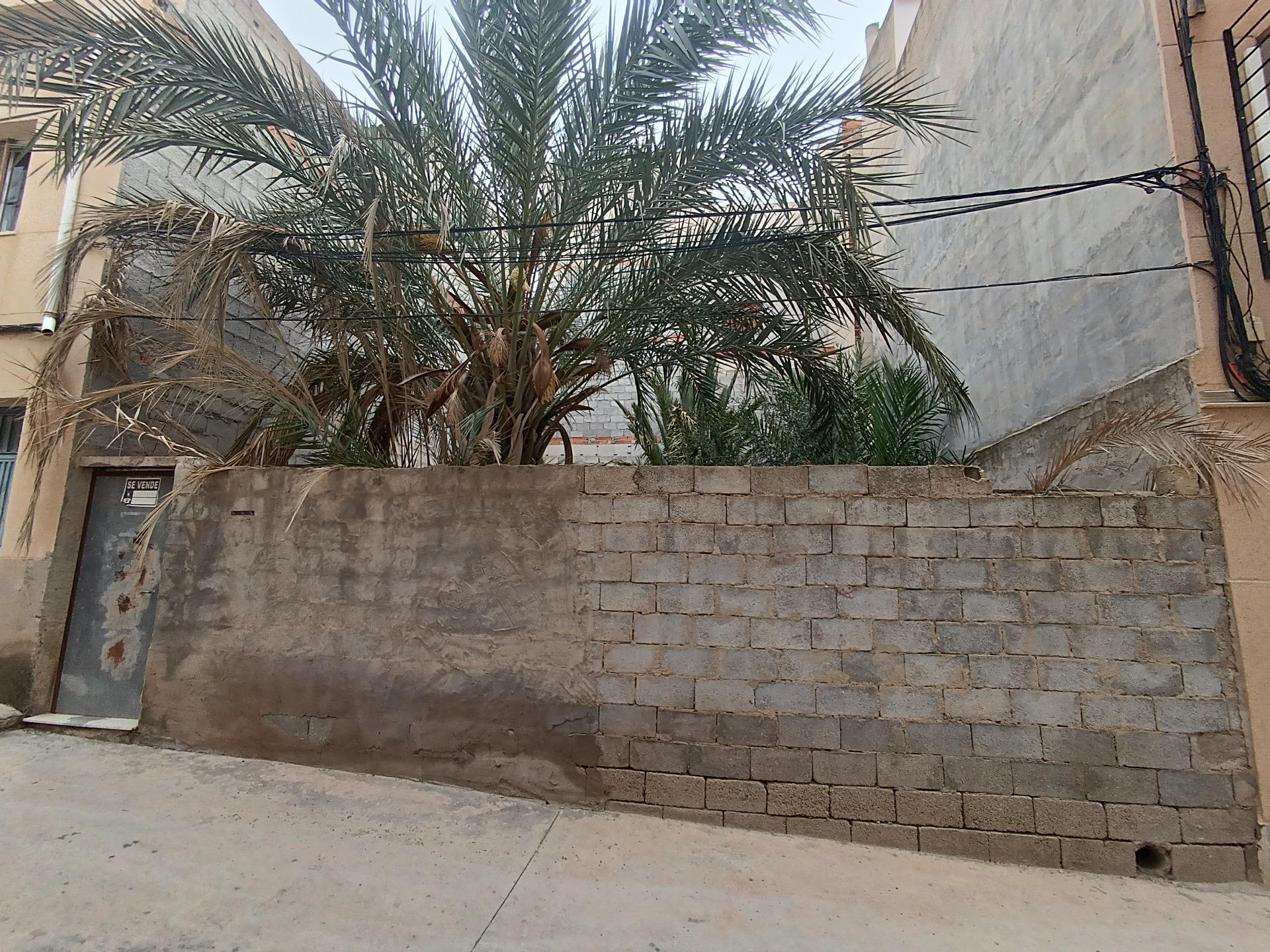 Fincas y solares-Venta-Abanilla-1791677-Foto-4
