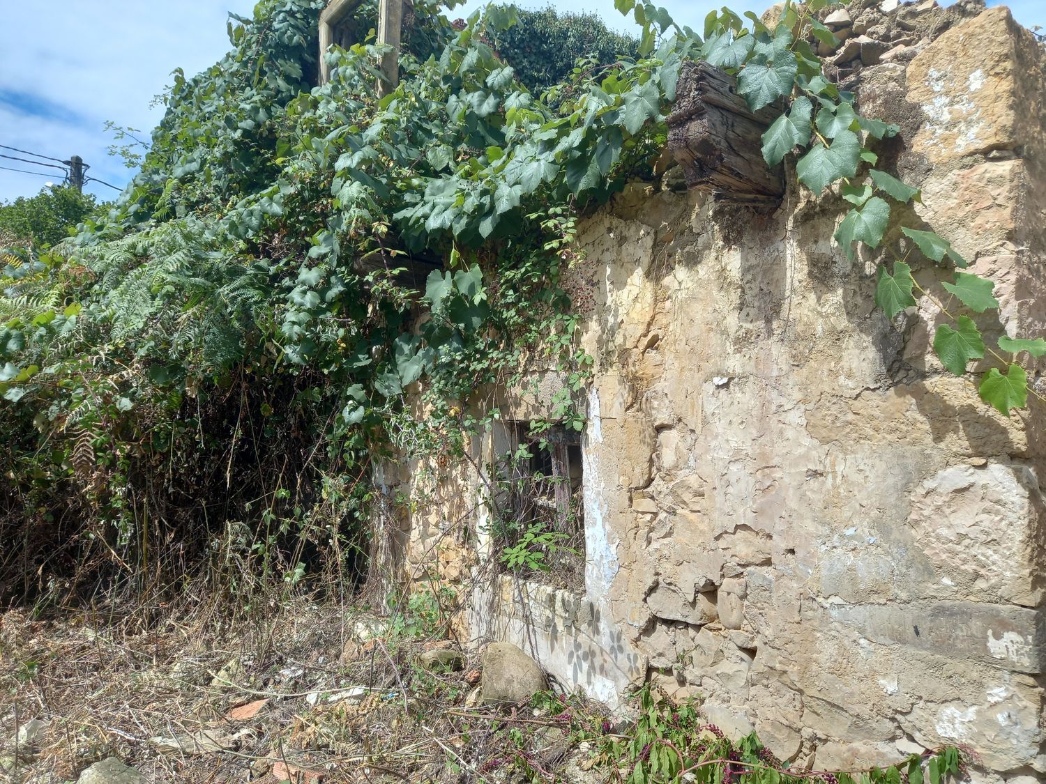 Casas o chalets-Venta-PiloÃ±a-925013-Foto-2