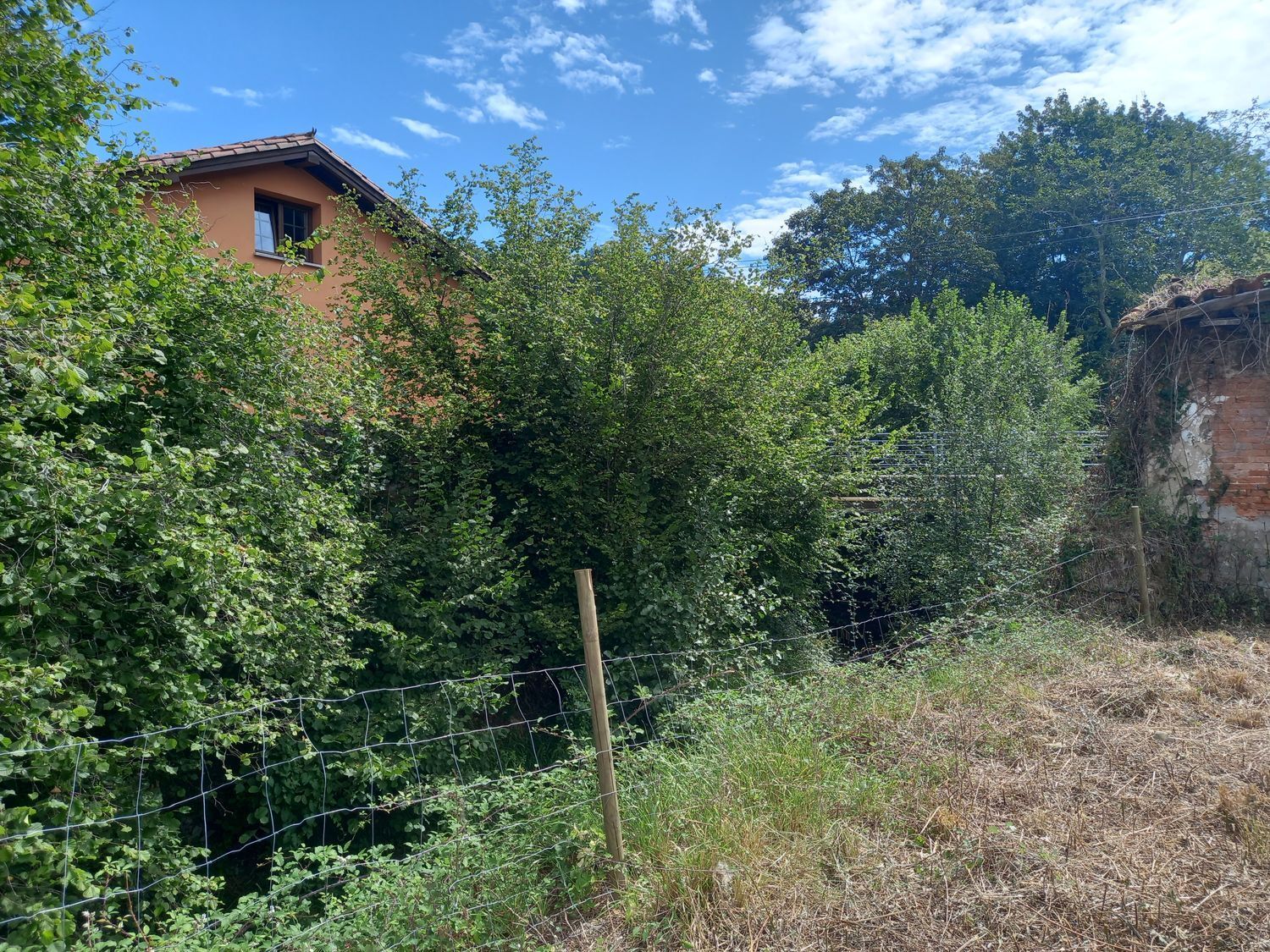 Casas o chalets-Venta-PiloÃ±a-925013-Foto-18