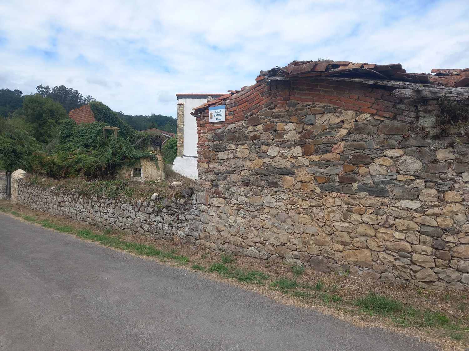 Casas o chalets-Venta-PiloÃ±a-925013-Foto-28